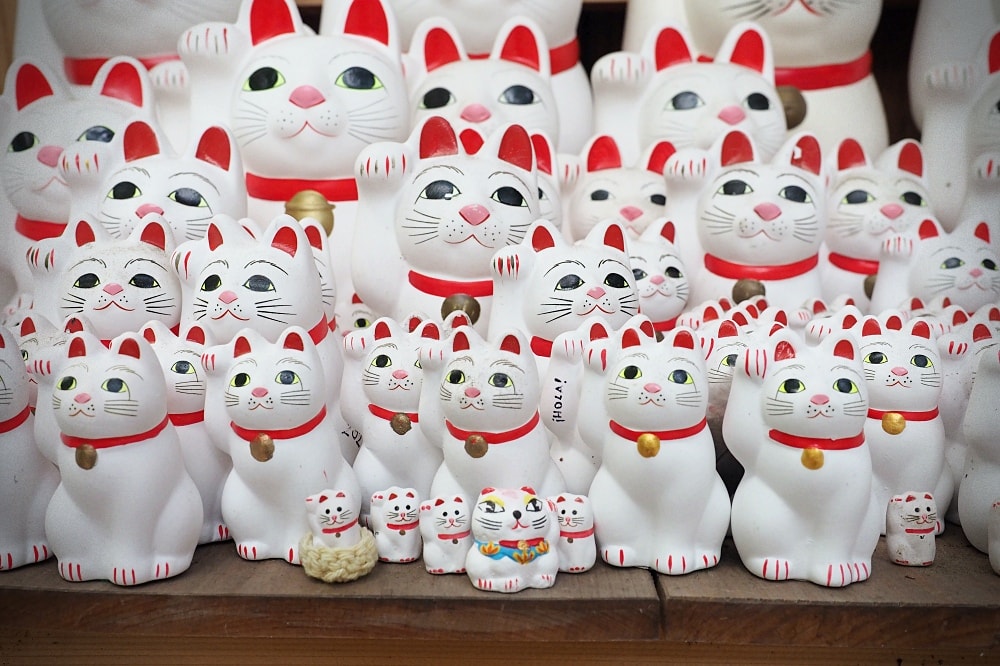 東京世田谷 | 豪德寺。招福貓神社/愛貓控必訪景點/東京人氣特色神社