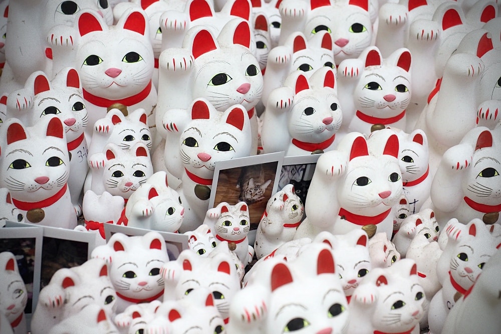 東京世田谷 | 豪德寺。招福貓神社/愛貓控必訪景點/東京人氣特色神社