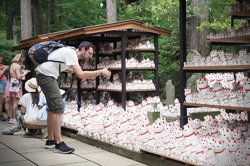 東京世田谷 | 豪德寺。招福貓神社/愛貓控必訪景點/東京人氣特色神社