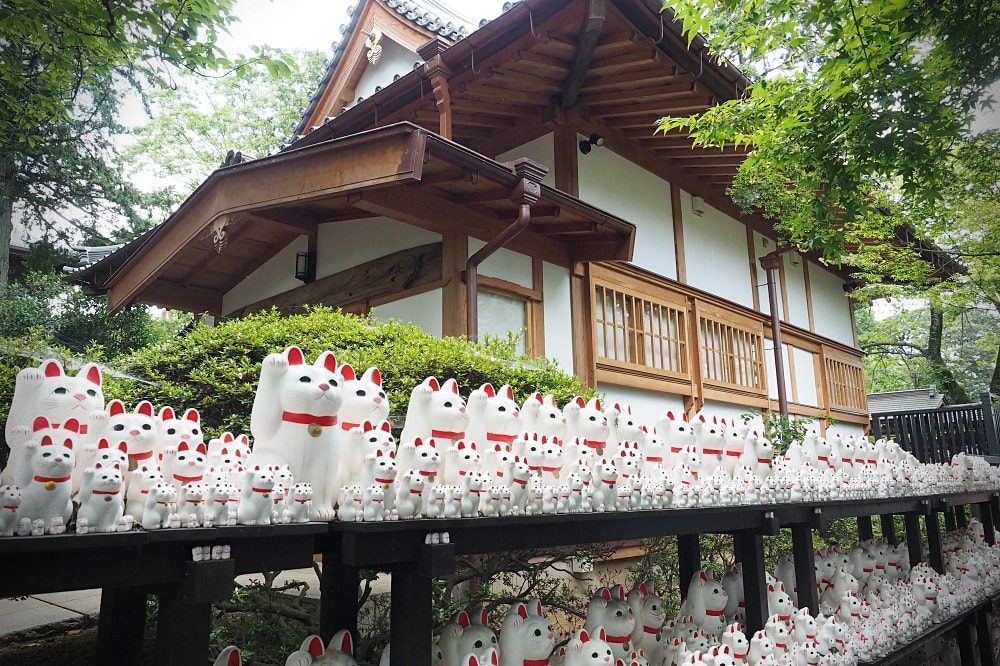 東京世田谷 | 豪德寺。招福貓神社/愛貓控必訪景點/東京人氣特色神社