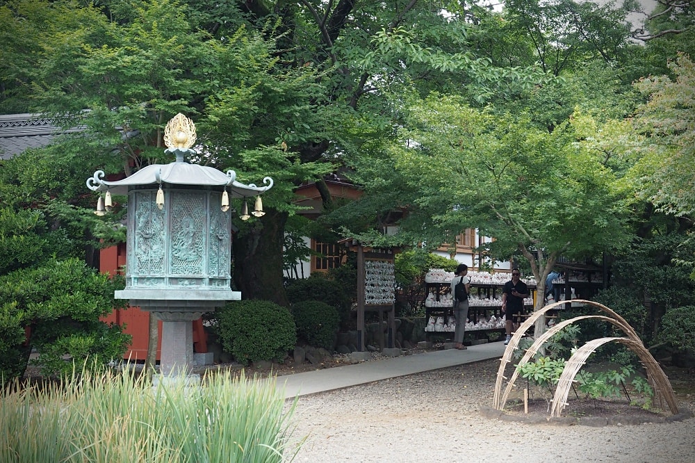 東京世田谷 | 豪德寺。招福貓神社/愛貓控必訪景點/東京人氣特色神社