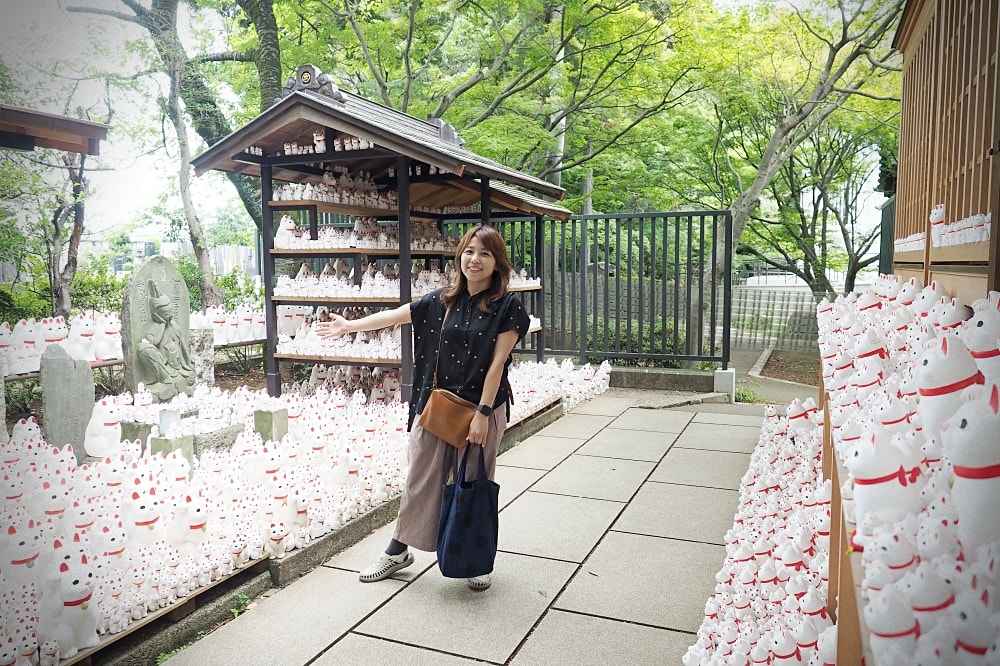 東京世田谷 | 豪德寺。招福貓神社/愛貓控必訪景點/東京人氣特色神社