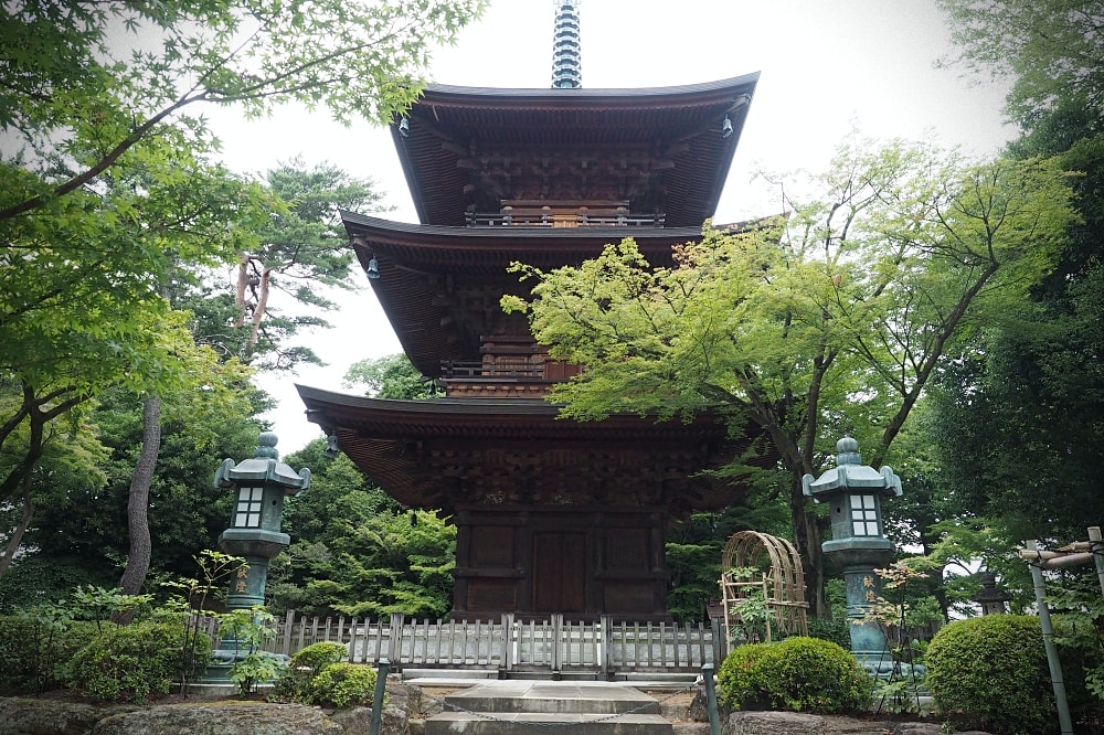 東京世田谷 | 豪德寺。招福貓神社/愛貓控必訪景點/東京人氣特色神社