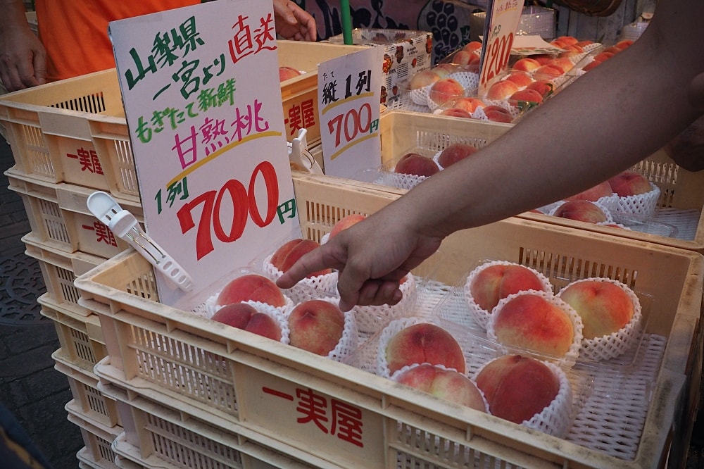 東京武藏野 | 吉祥寺散策。トトト豆乳/はらドーナッツ/黑毛和牛炸肉餅satou/天音鯛魚燒