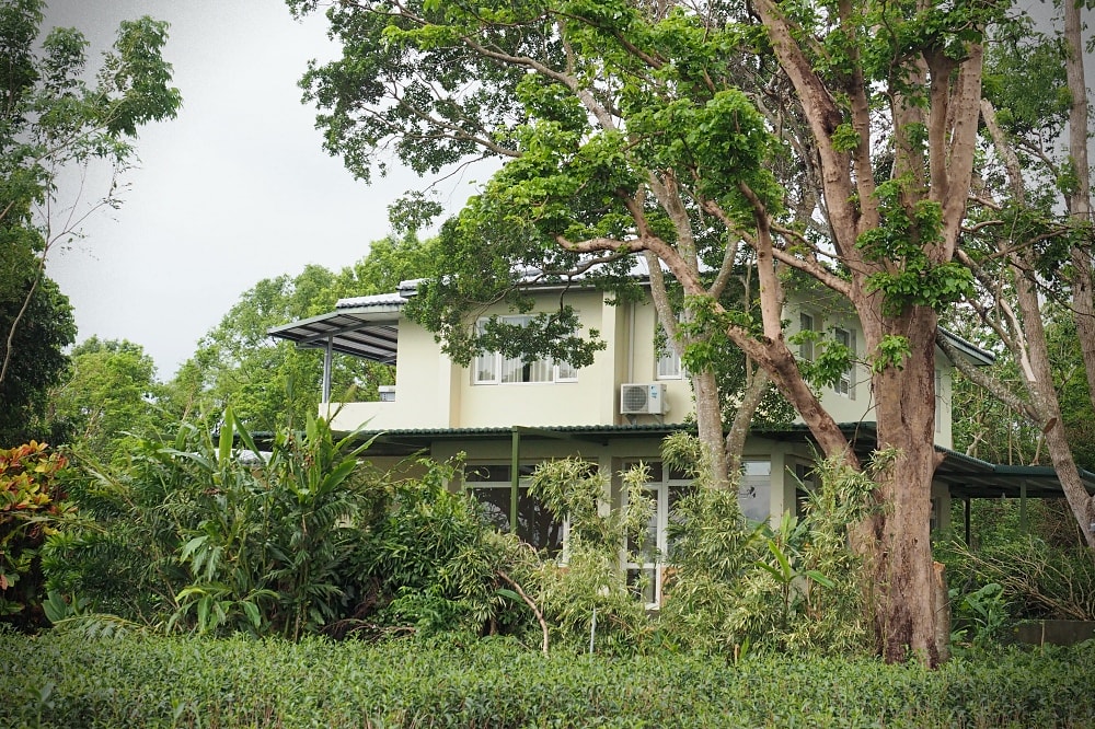 台東鹿野 | 六分舍民宿Six Lands homestay。南法鄉村老宅/美味手作早餐/侘寂生活美學